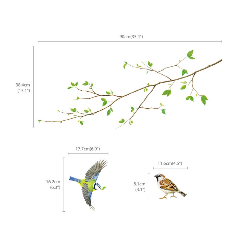 DECOWALL SG-2111 Stickers Muraux Oiseau sur Branche d'Arbre image 7