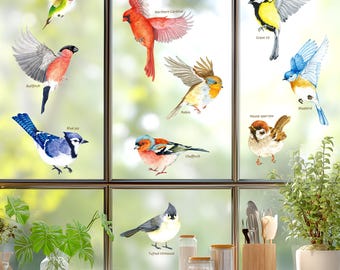 Stickers muraux DECOWALL CDS2-9001 Oiseaux de jardin