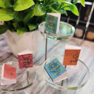 ACOTAR inspired mini TBR Book