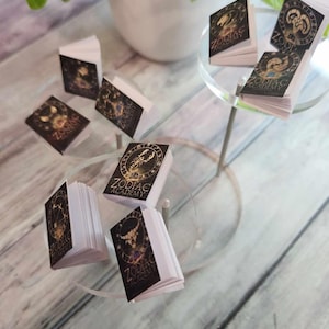 Fantasy Series of mini books for TBR Jars