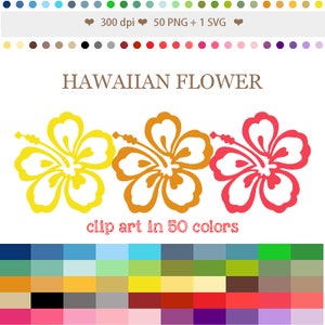 50 Colors Digital HAWAIIAN FLOWER Clipart Hibiscus Clip Art Rainbow Hawaii Digital Clip Art Hibiscus Flowers Scrapbooking Card Making #C068