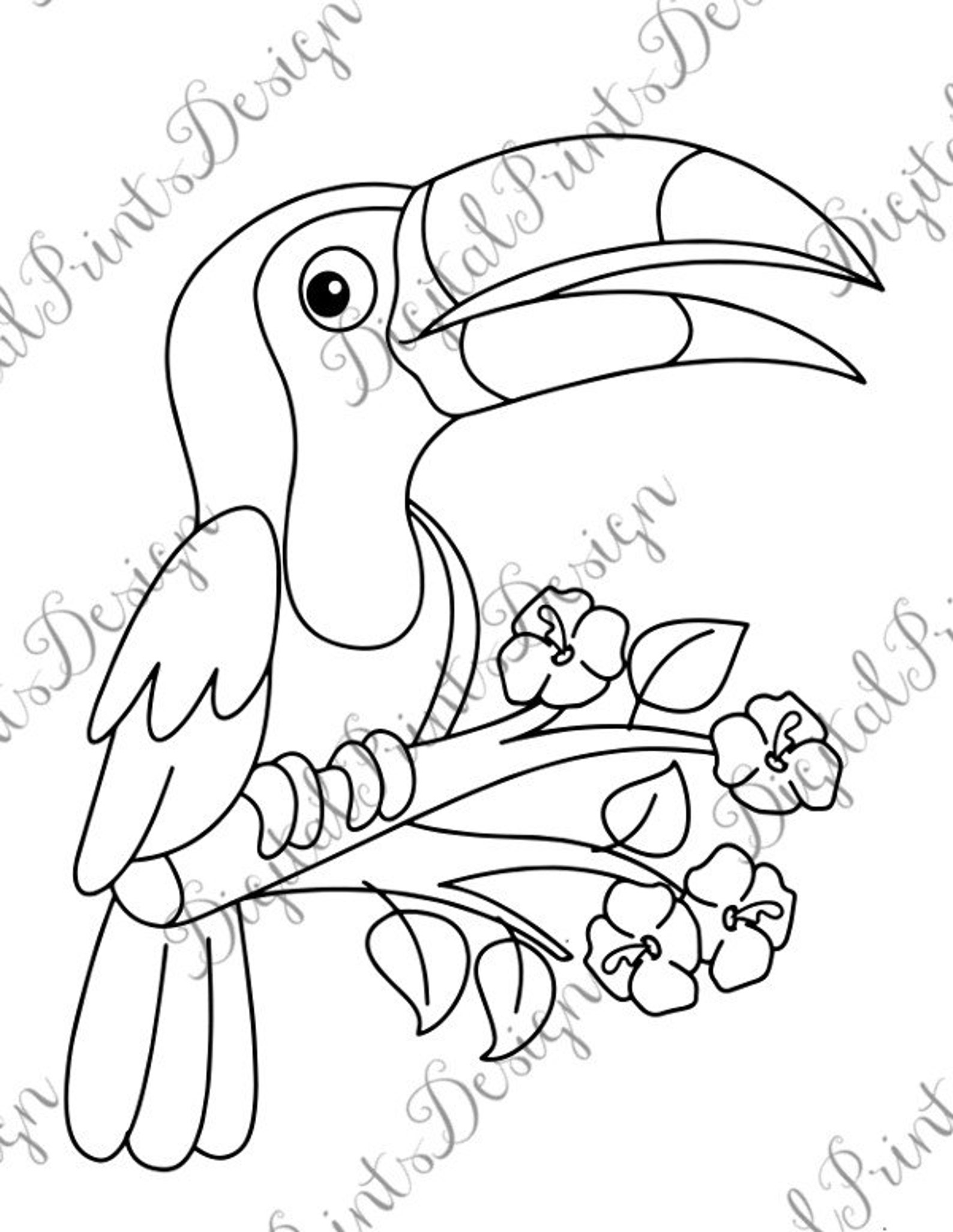 Parrot Coloring Page