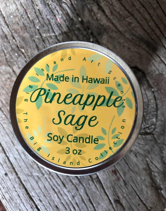 Heavily Scented Lilikoi Guava Soy Wax Candle 3 oz