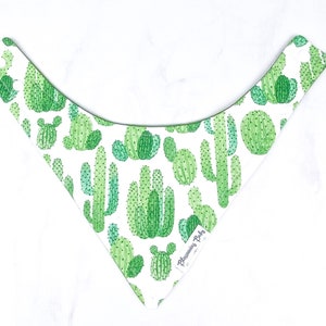 Cactus and Succulent Patterned Baby Drool Bibdanas image 4