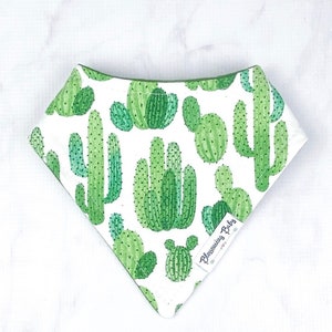 Cactus and Succulent Patterned Baby Drool Bibdanas image 3