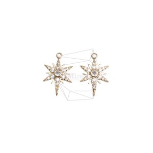 PDT-2858-G/2Pcs-Cubic Star Round Charm/12.6mm x 18.8mm/Gold Plated over Brass, Set with Cubic Zirconia/Jewelry Making