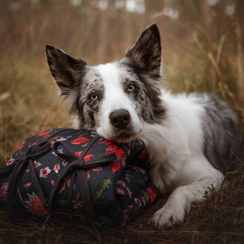 Travel Mat for a Dog Outdoor Dog Mat Roll up Dog Mat Etsy