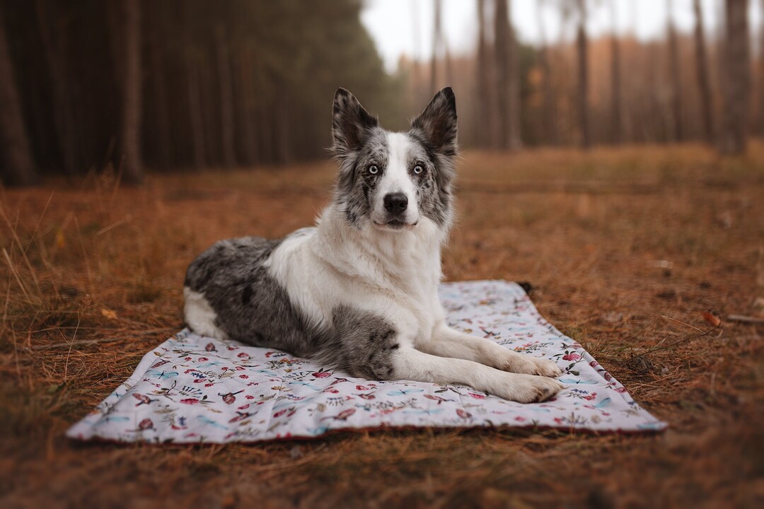 Dog Blanket, Dog Travel Blanket, Outdoor Dog Blanket, Roll up Dog