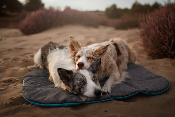 waterproof crate pad