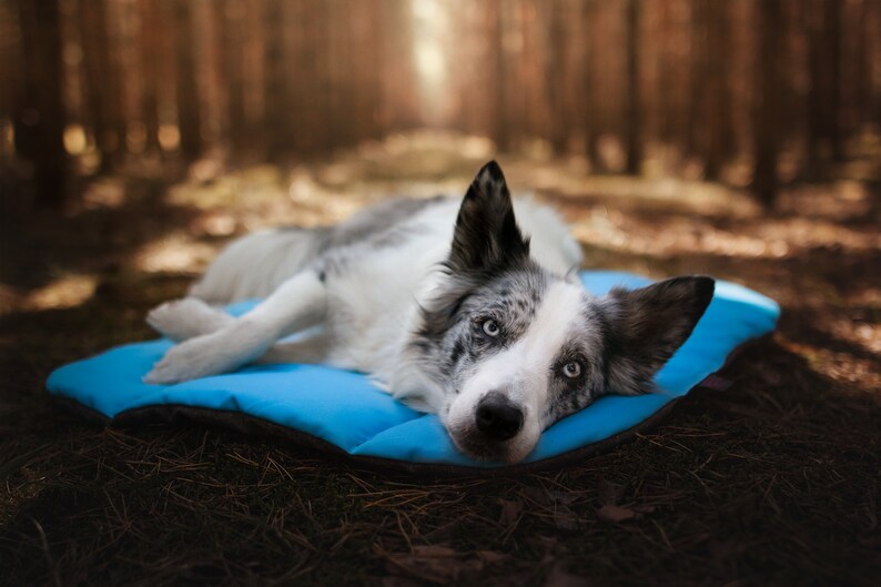 Travel Mat for a Dog Outdoor Dog Mat Roll up Dog Mat Etsy