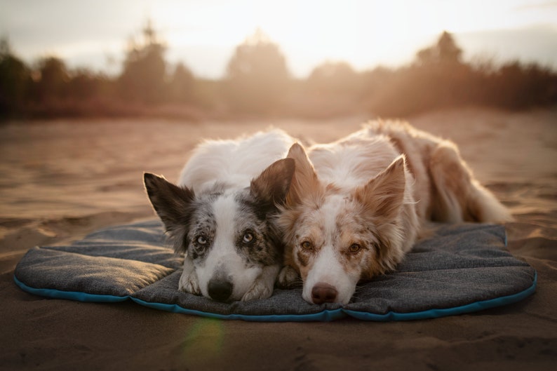 Travel Mat for a Dog Outdoor Dog Mat Roll up Dog Mat Etsy