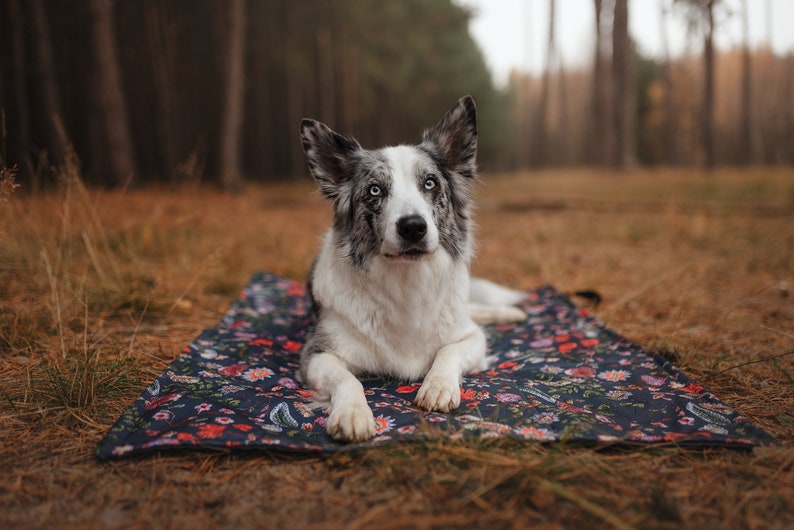 Dog blanket, Dog travel blanket, Outdoor dog blanket, Roll up dog blanket, personalized dog blanket, weatherproof fabric image 3