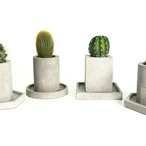 Op de afbeelding: Vier betonnen potten in verschillende vormen en maten, elk met een kleine cactusplant. De potten zijn allemaal lichtgrijs en hebben een gladde afwerking. De cactussen zijn allemaal groen en hebben verschillende vormen en maten.