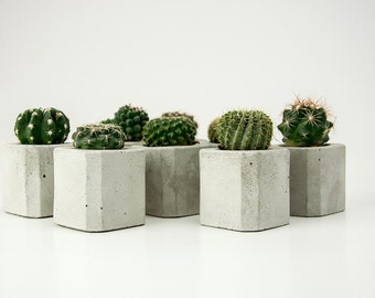 Ensemble de 3 petites jardinères en béton