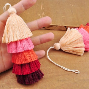 May include: Two multi-colored tassel ornaments with a gradient of peach, pink, orange, red, and burgundy. The tassels are attached to white cords.