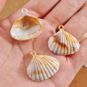 Peut inclure: Trois pendentifs en coquillage naturel avec des boucles en métal doré. Les coquillages sont blancs avec des rayures brunes et une surface texturée.