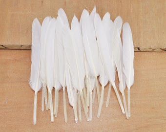 Piume d'anatra 50pcs, bianche piume, piume di mestiere, Loose piume, piume forniture (10cm a 15cm di lunghezza)