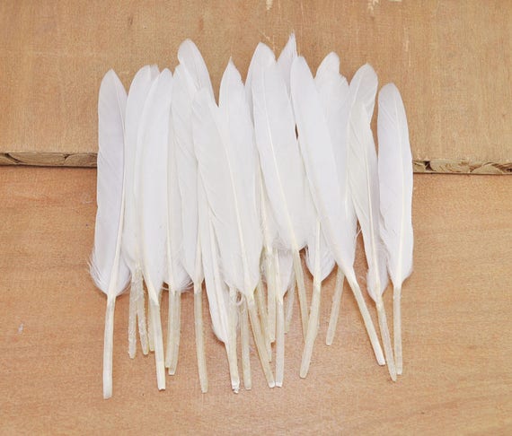 Plumas Decorativas Para Manualidades X20 Unidades Blanco | Cuotas Sin