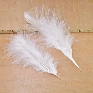 White Feathers, Craft Feathers, Natural Feathers, Loose Feathers, Wholesale  Feathers, Real Feathers, Long Feathers 