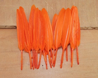 Plumes de canard 50pcs, plumes Orange, artisanat plumes, plumes lâche, plumes de fournitures de bureau (10cm à 15cm de long)