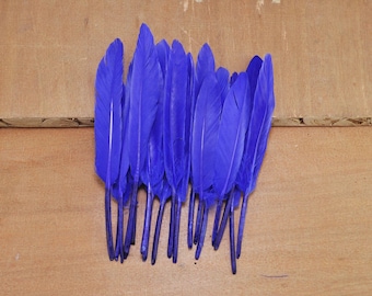 Plumes de canard 50pcs, plumes bleues, artisanat plumes, plumes lâche, plumes de fournitures de bureau (10cm à 15cm de long)