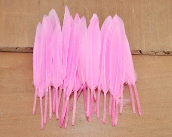 100Pcs Duck Feathers,Pink Feathers,Craft Feathers,Loose Feathers,Feathers supplies (10cm to 15cm long)