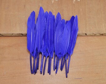 100Pcs Duck Feathers,Blue Feathers,Craft Feathers,Loose Feathers,Feathers supplies (10cm to 15cm long)