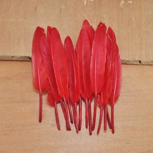 100Pcs Duck Feathers,Red Feathers,Craft Feathers,Loose Feathers,Feathers supplies (10cm to 15cm long)