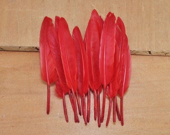 Plumes de canard 100pcs, plumes rouges, artisanat plumes, plumes lâche, plumes de fournitures de bureau (10cm à 15cm de long)