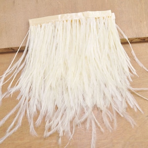 Ostrich Feather Trim – World Trimmings