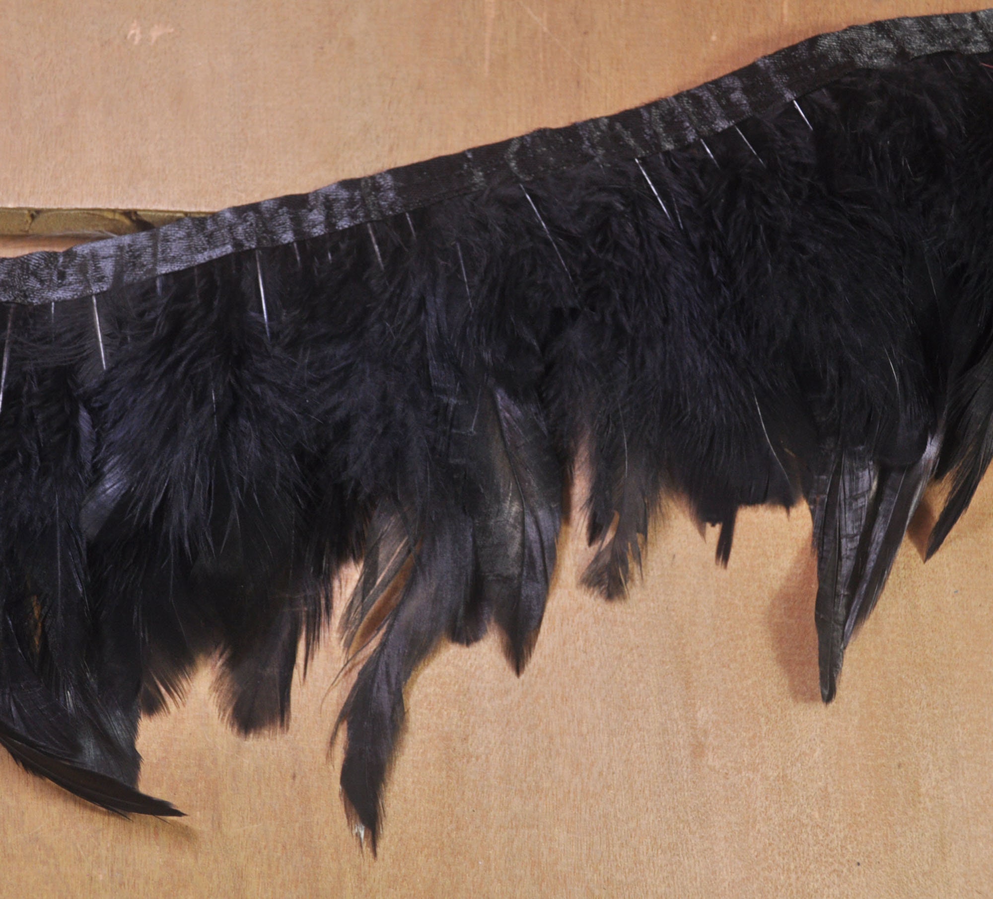 Feather Trim Top Black main image 0