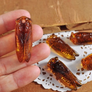 Vintage Acrylic Cicada，Transparent coffee Cicada Pendant，Cicada Charm,Acrylic Cicada ornament accessories, jewelry making DIY handmade craft