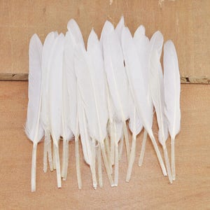 100Pcs Duck Feathers,White Feathers,Craft Feathers,Loose Feathers,Feathers supplies (10cm to 15cm long)