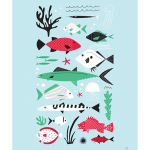 CARTE "Mediterranean fish" image 3