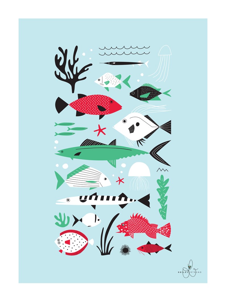 CARTE "Mediterranean fish" image 3