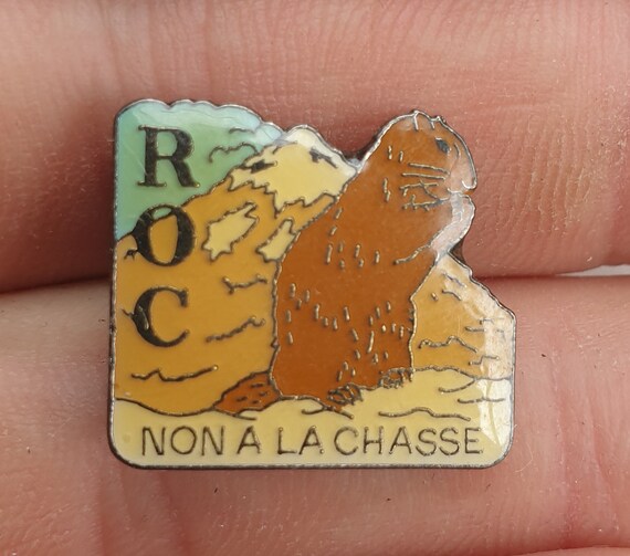 Beaver, beaver pin, badge, gift, gift idea, cool,