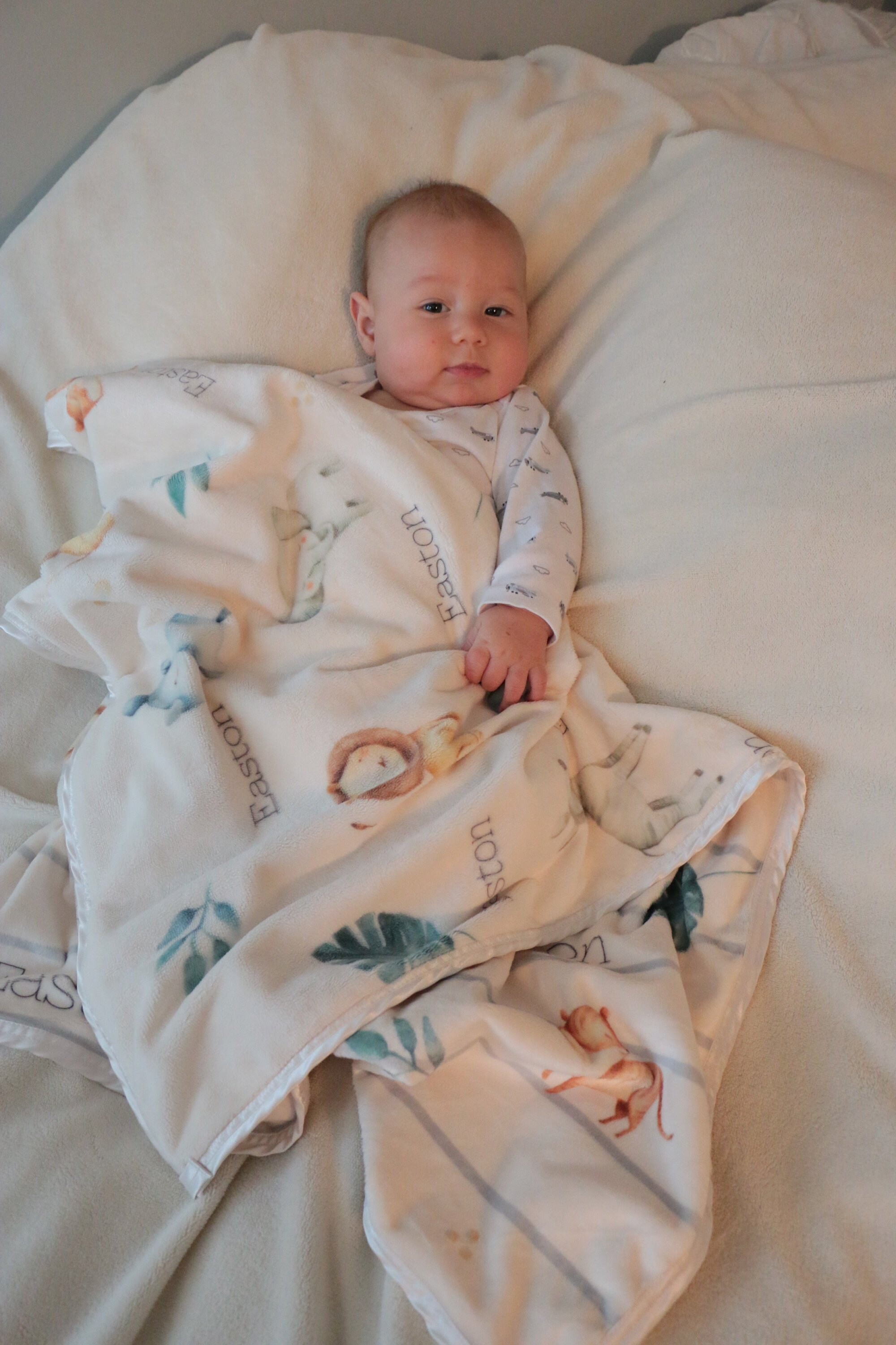 personalized stroller blanket