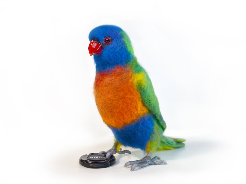 Rainbow Lorikeet Realistic felt toy species of parrot Etsy