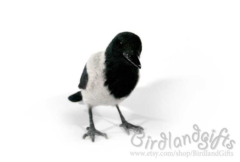 The Hooded Crow Corvus cornix felt bird sculpture The real sized felted Hoodie is action figure of the Eurasian smart ass and hooligan. image 3