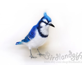 Realistic Blue Jay Etsy