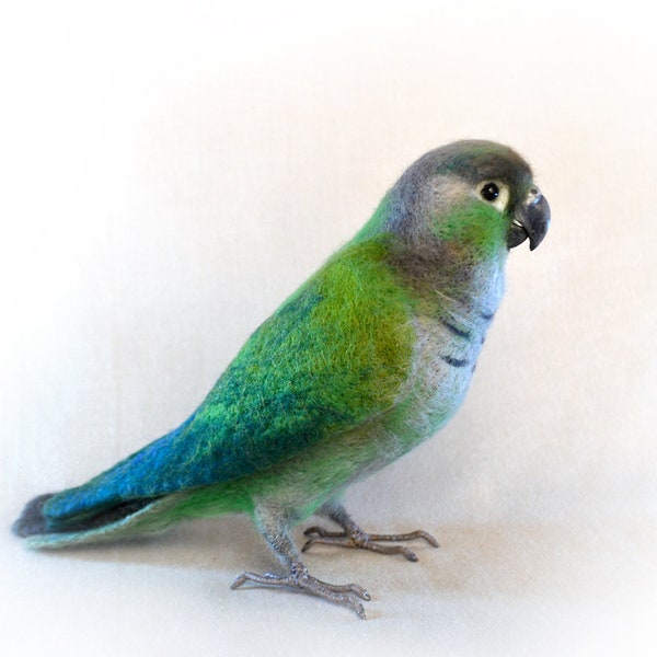 The felted bird-Green-Cheeked Conure-Lifelike felted animal. Birdwatching perfect gift. Faux taxidermy. Ornitologist Christmas Gift.