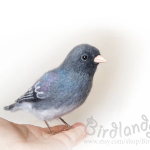 Può includere: Un uccello grigio e blu in feltro ad ago con un becco rosa. L'uccello è appollaiato su una mano.