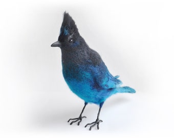Steller&#39;s Jay - Bold, inquisive and noisy bird of western evergreen forest. Realistic Felted Bird. Ornithologist Gift.