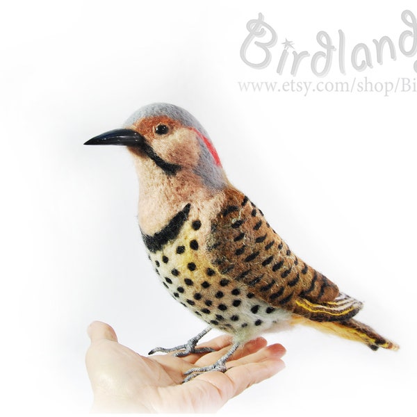 Northern Flicker - handgemaakte vilten vogel - Ornitholoog Cadeau, Faux Taxidermie, Levensechte vogelfiguur, Home Decor