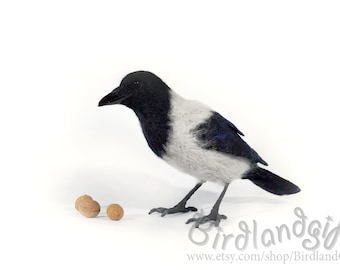 The Hooded Crow (Corvus cornix) felt bird sculpture - The real sized felted Hoodie is action figure of the Eurasian smart ass and hooligan.
