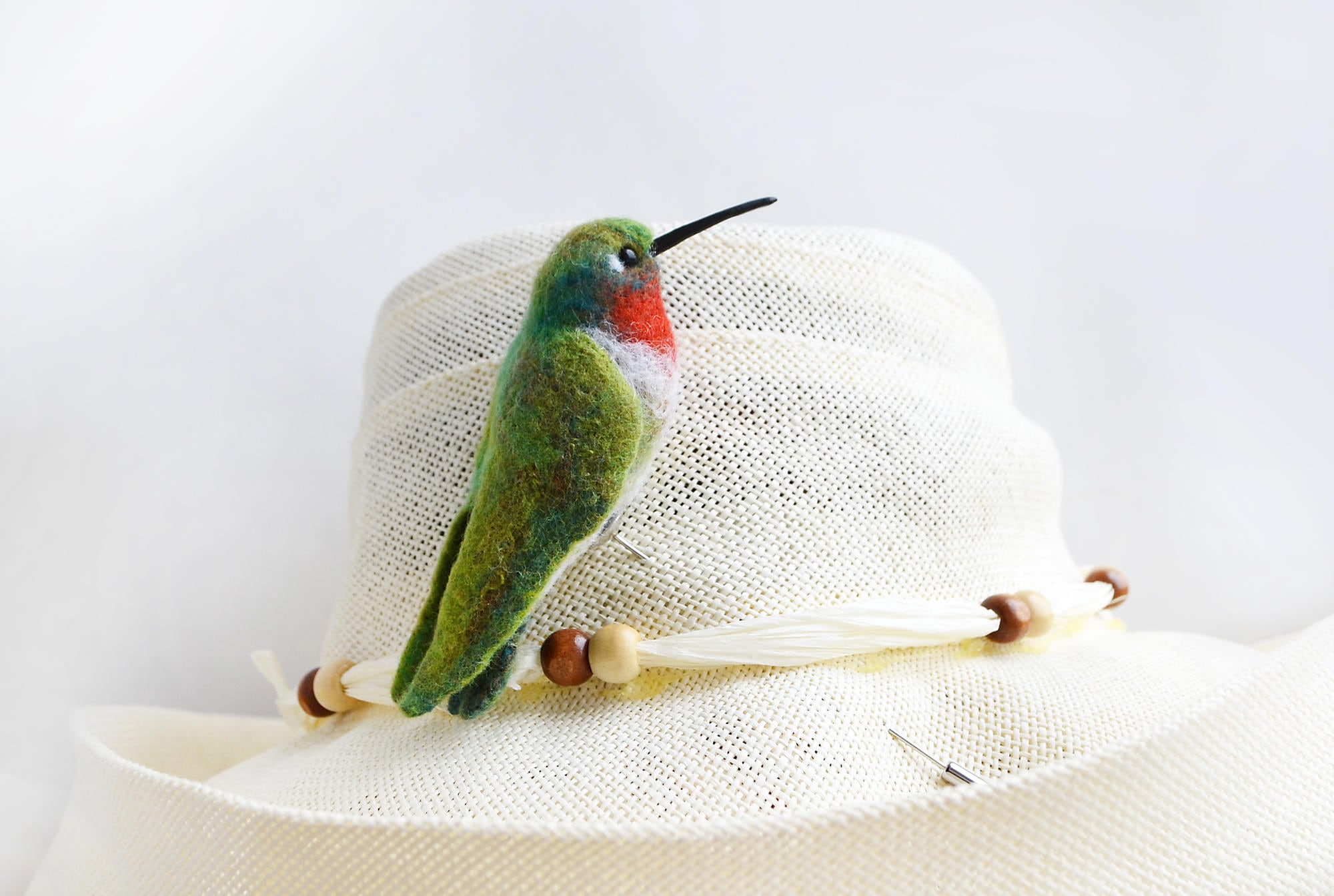Taxidermy hummingbirds - Etsy 日本