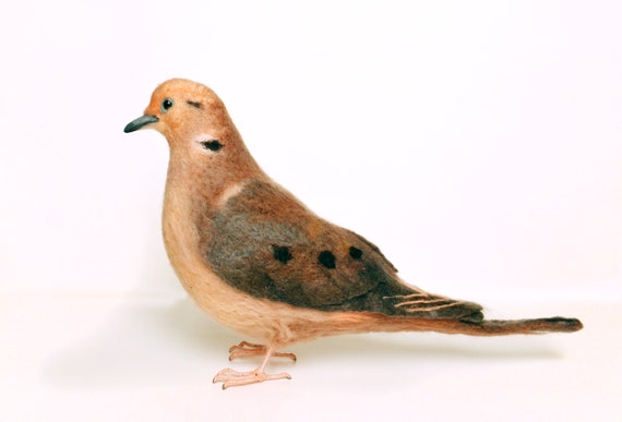 La Colombe En Deuil Oiseau Ressenti Réaliste Du Sud Du Canada Au Centre Du Mexique Cest Lun De Nos Oiseaux Les Plus Communs