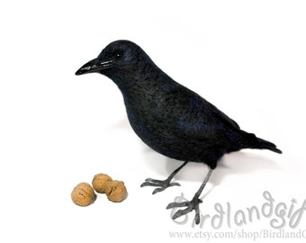 1/2 scale Felted American Crow naturalistic doll