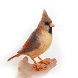 Northern Cardinal(female) is the symbol of NFL team Arizona Cardinals and MLB team St. Louis Cardinals. Felt bird.