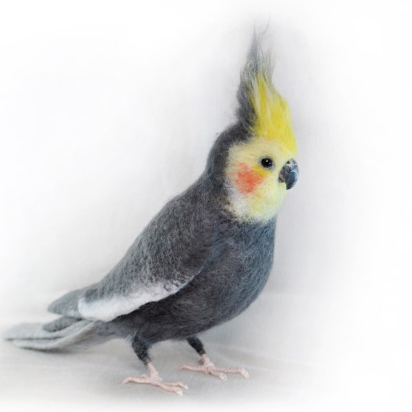 The felt bird - Cockatiel. Handmade felted bird. The most widely kept parrot. Gift for ornithologist. Faux Taxidermy. Lifelike bird figure